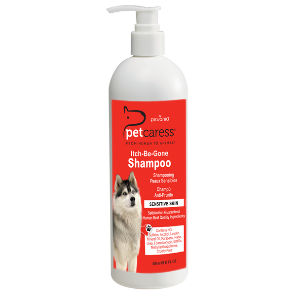 Best shampoo for on sale puppies with sensitive skin