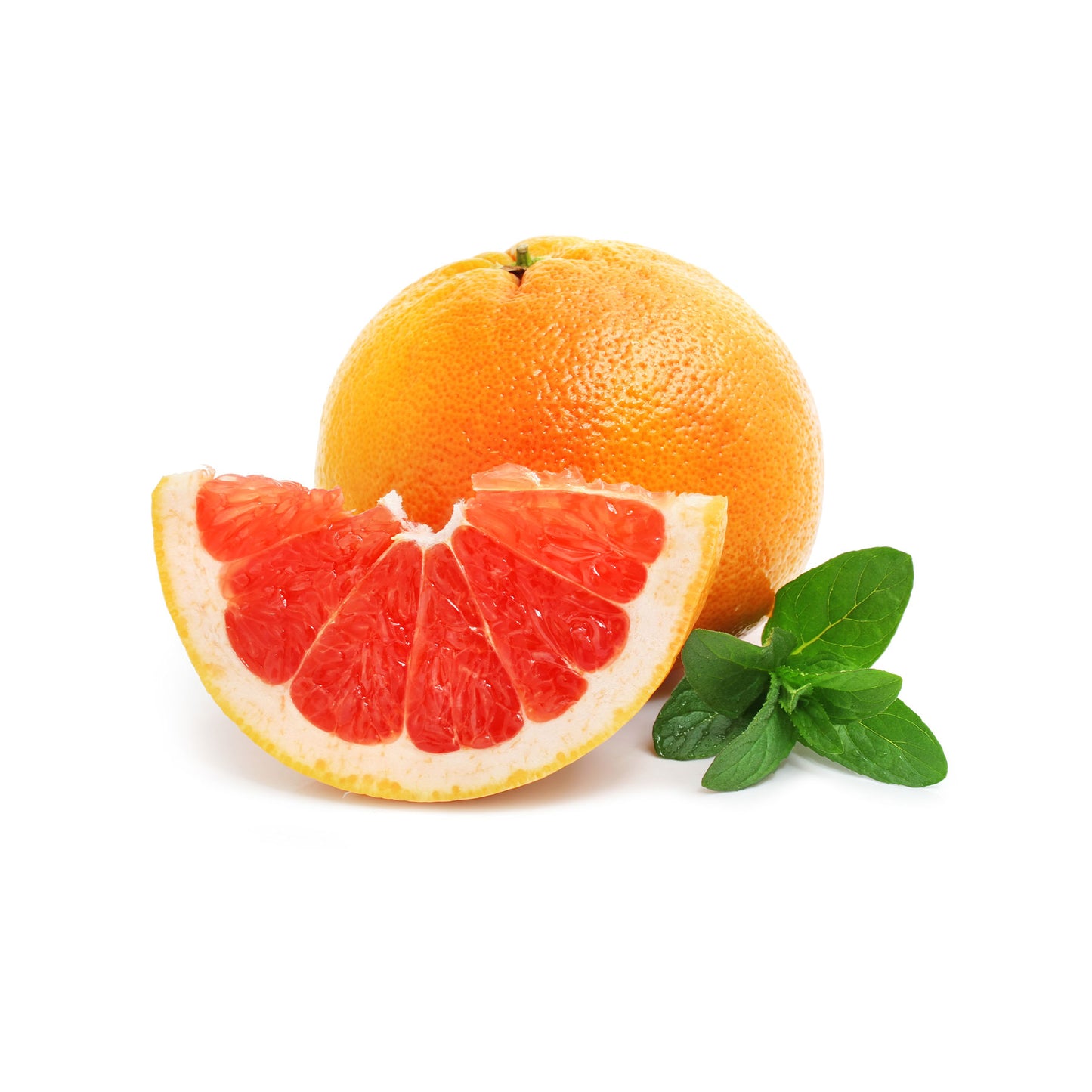 Citrus Moisturizing Spa Dog Shampoo
