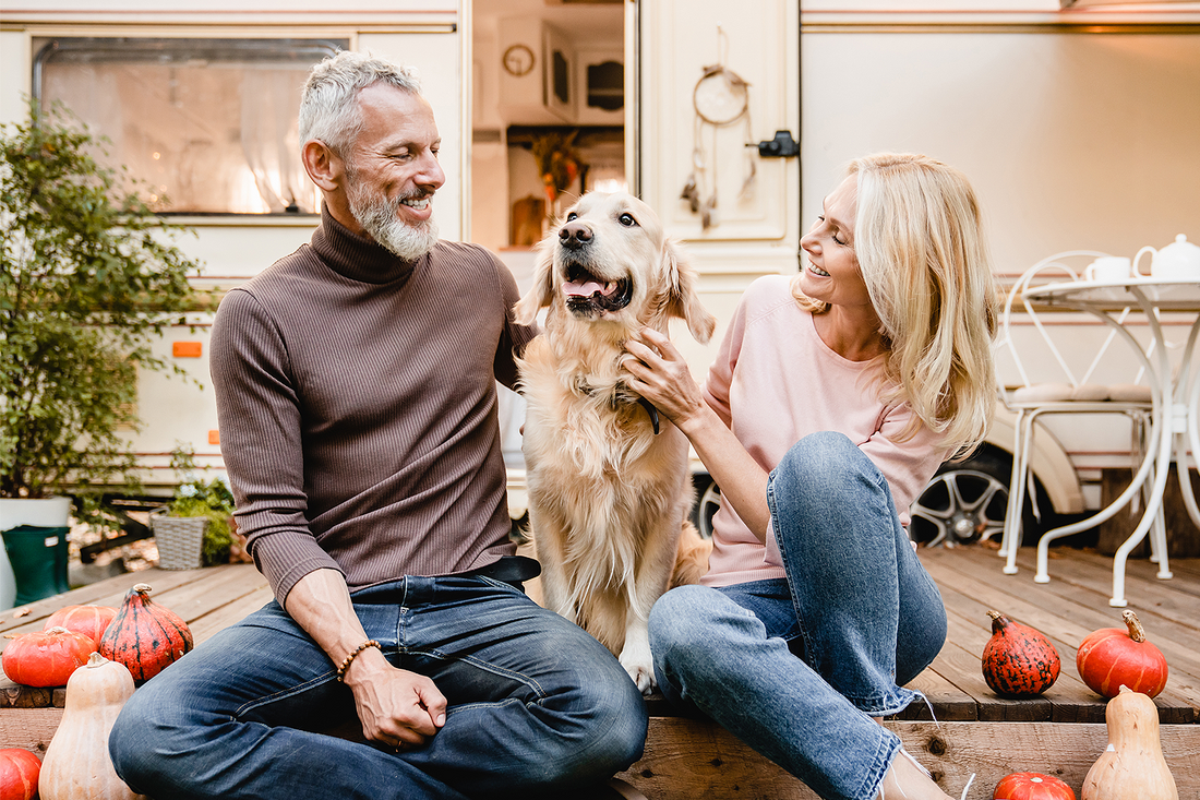 Helping Your Pet Cope with Anxiety and Depression During Back to School Time