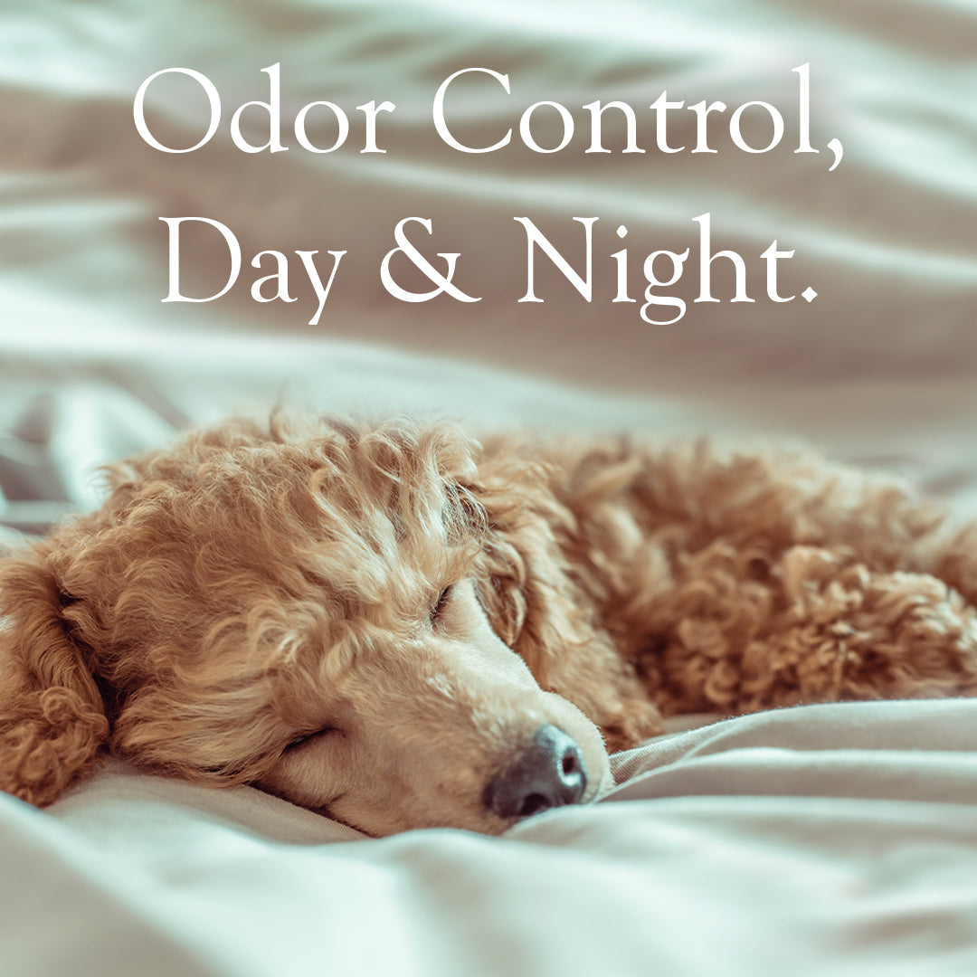 Odor Control Solutions