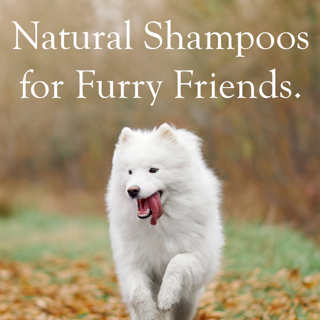 Pet Shampoos